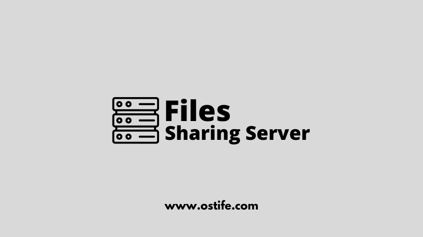 Fungsi Dan Manfaat File Server
