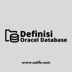 Definisi Client Server Environment Pada Oracle